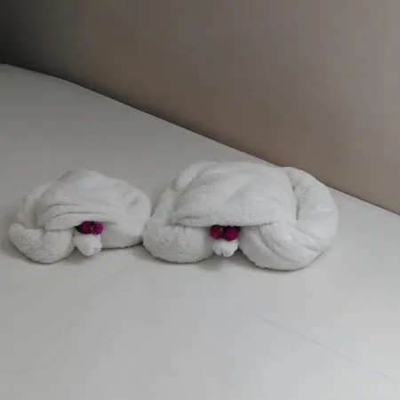 7 Islands Hotel apartamentowy Alikes